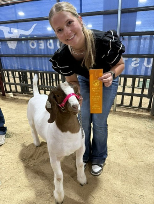 goat 2.jfif