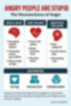 The Neuroscience of Anger