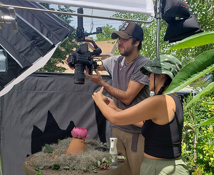 South Florida visuals at work