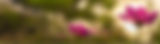 Screenshot 2024-09-25 224017_edited.jpg
