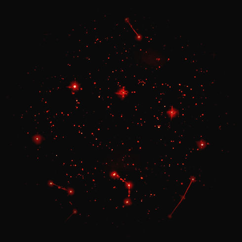 Dark red, dark grey and black sky filled with bright stars of all twelve zodiac constellat