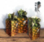Dehydrated Pineapple Box