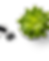 Succulent Plant and Binder Clips_edited.png