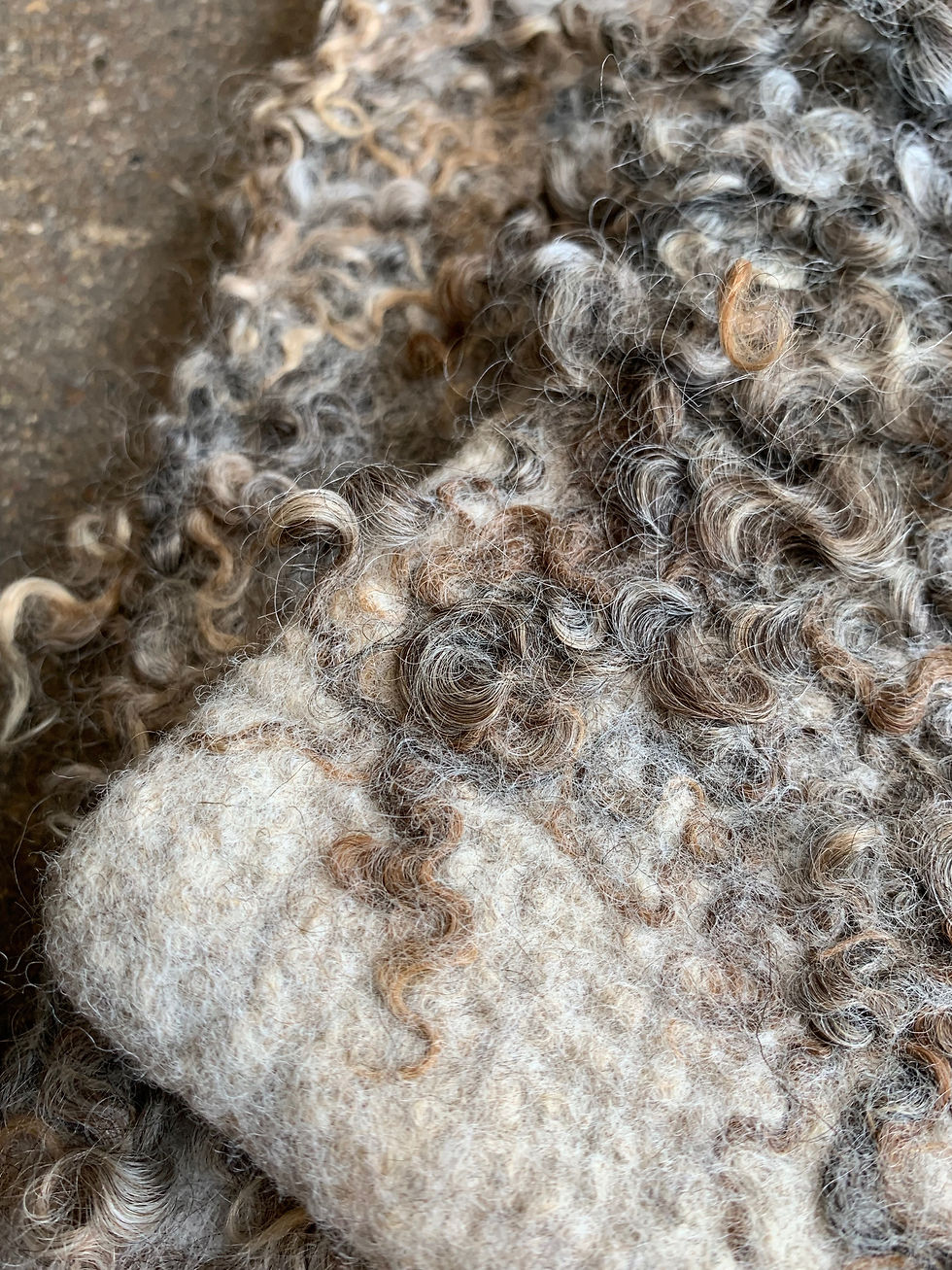 Miniaturebillede: Mørke krøller på taske med råuld