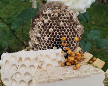 WhatsApp Image 2023-06-15 at 16.38.08.jpeg