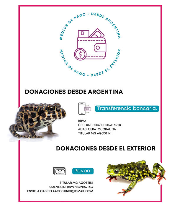 Medios de pago - Argentina.jpg