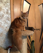 8 месяцев.jpg