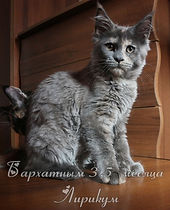 IMG_4984.jpg