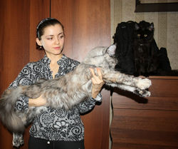 11 мес.