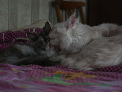 IMG_6666.JPG