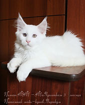 IMG_9803.jpg