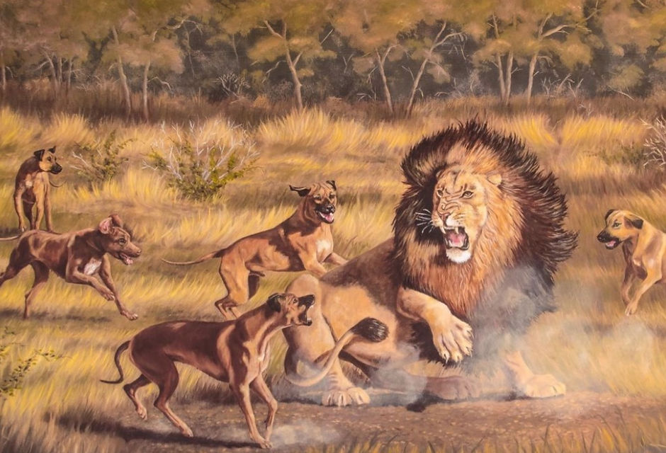 RR history