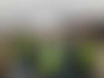 Hands-On Learning in Action with #Champions Braidwater!