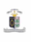 crest screenshot.jpg