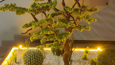 Bonsai Premium Design