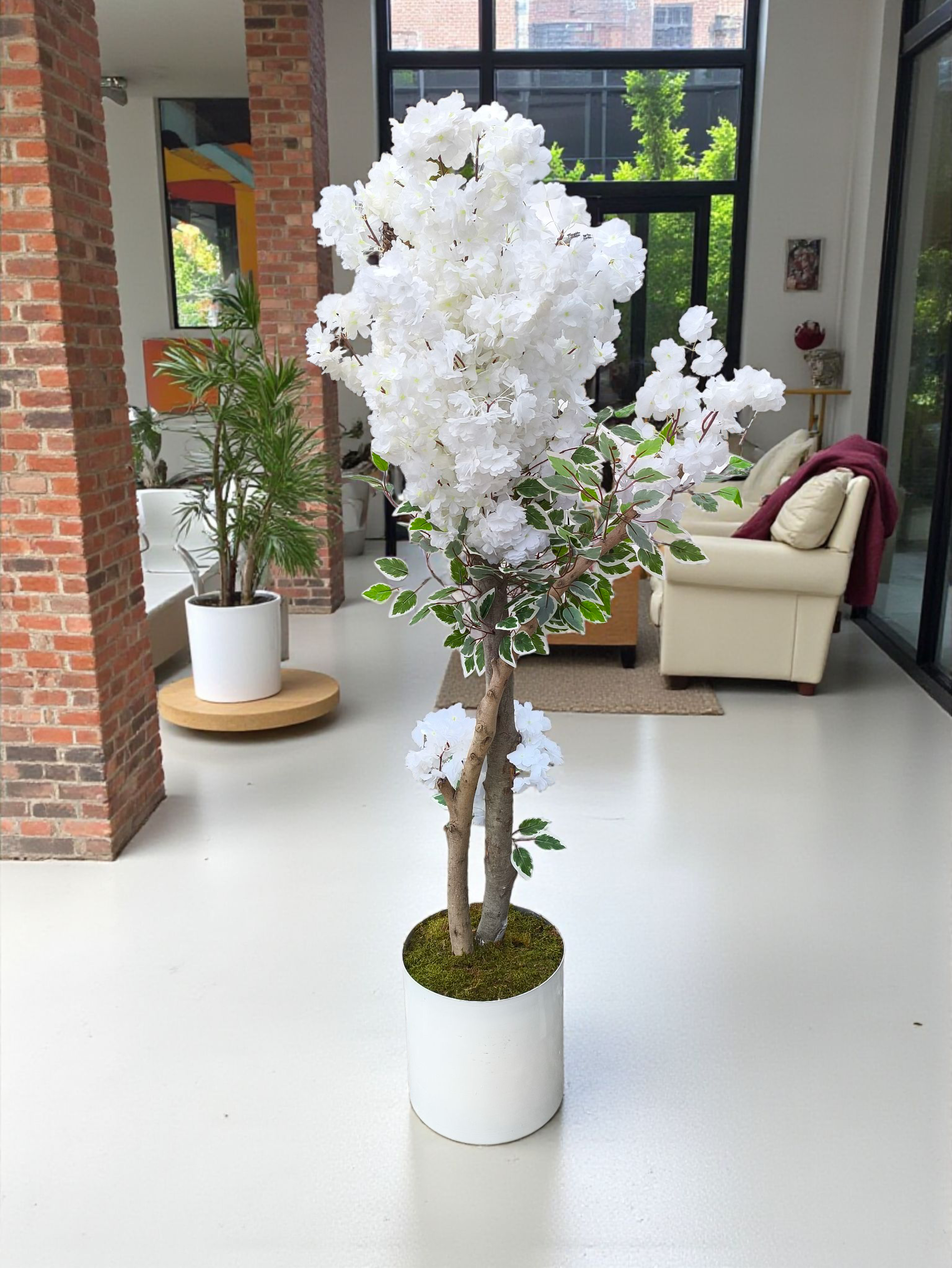 Bahar Ağacı 2 Gövde 170 cm