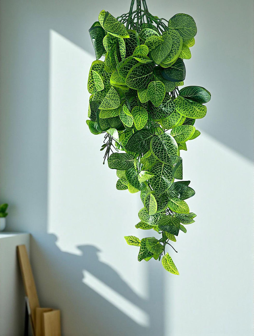 Fittonia Asma Sarkıt Bitkisi (UV) 9 Dal 100 cm