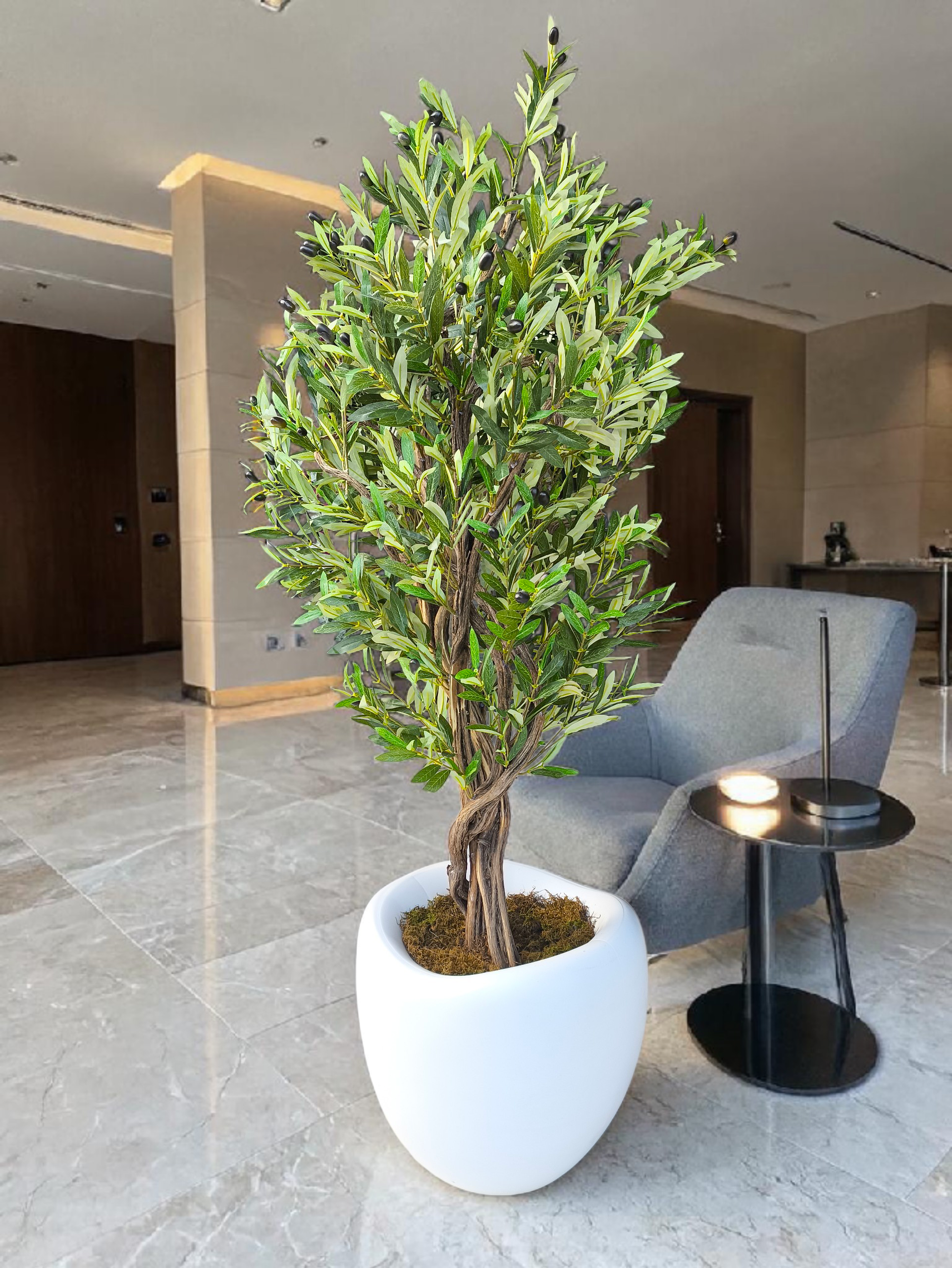 Zeytin Bonsai Ağacı 180 cm