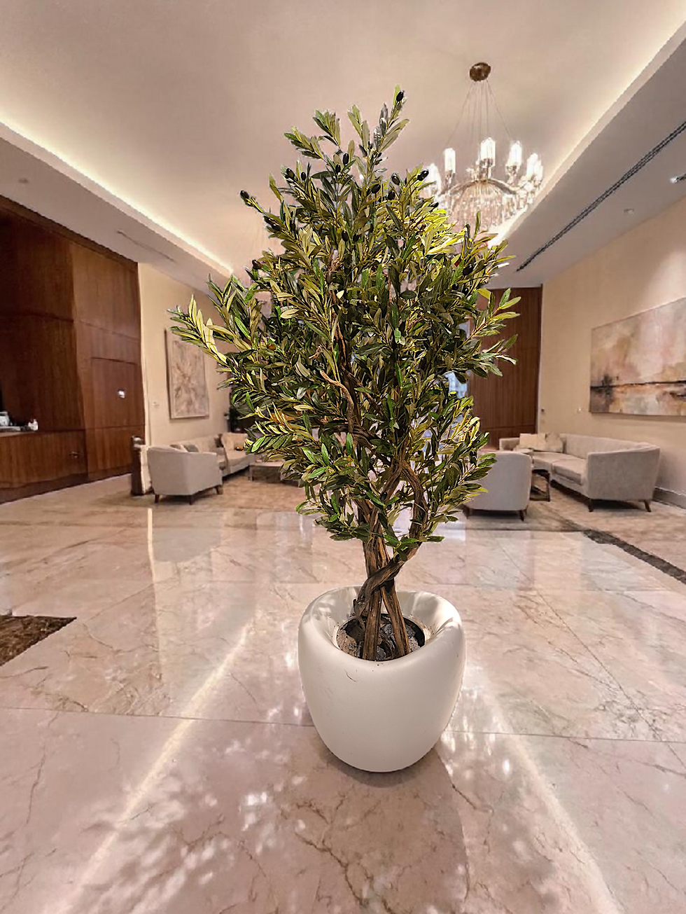 Zeytin Bonsai Ağacı 180 cm