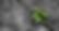 iStock-466266635-CROP2.jpg