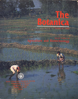 1996.jpg