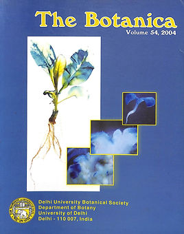 2004.jpg