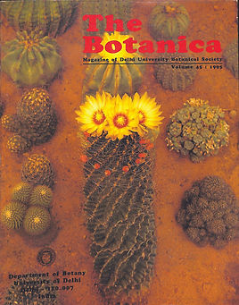 1995.jpg