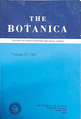 1987.jpg