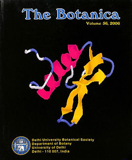 2006.jpg