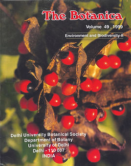 1999.jpg