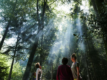 Wellengeist und Flammentanz