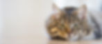 Layer-1704-1920x840.jpg