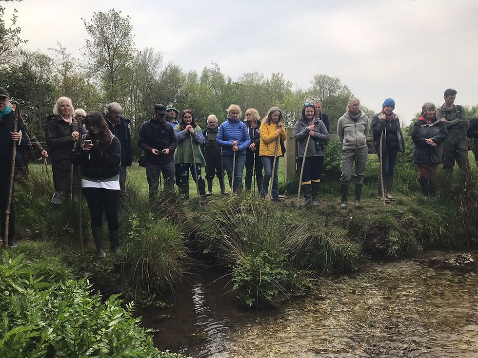 MWHG Newsletter: 8th May 2023 