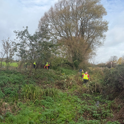 Volunteers cutting bramble at Willow Glen