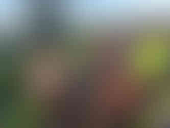 Volunteers hard at it