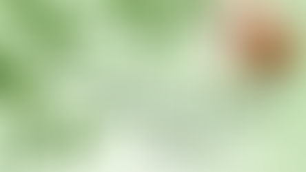 Selsey's 5th Seed and Plant Swap