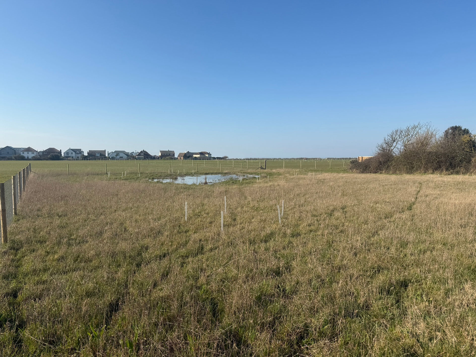 Small tree copses planted to open the soil