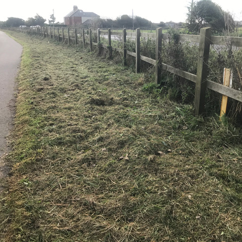 The site of the proposed new hedgerow between the cycle path and the road to replace the fence