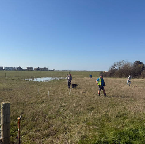Volunteers raking and seeding