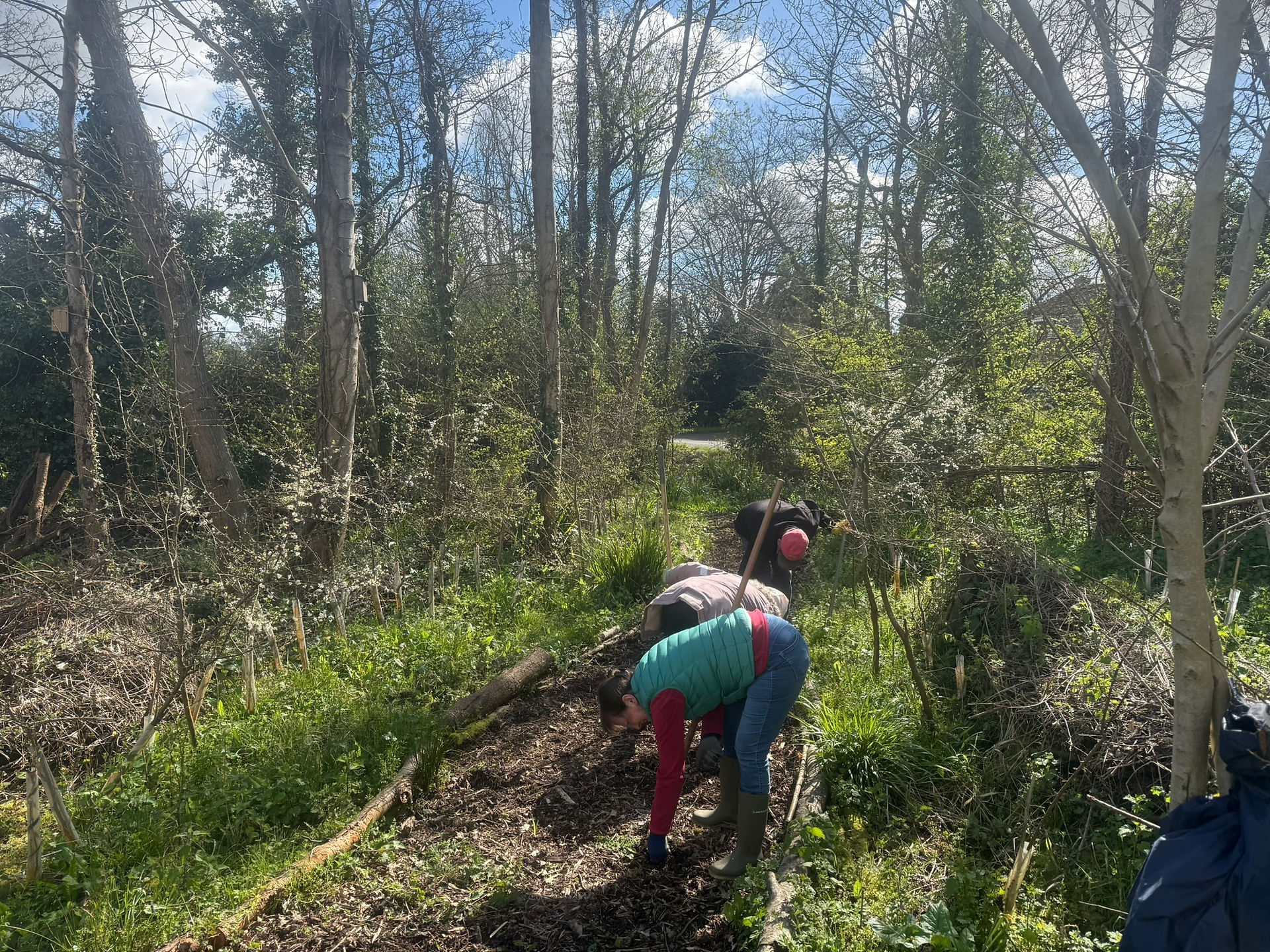 Path weeding