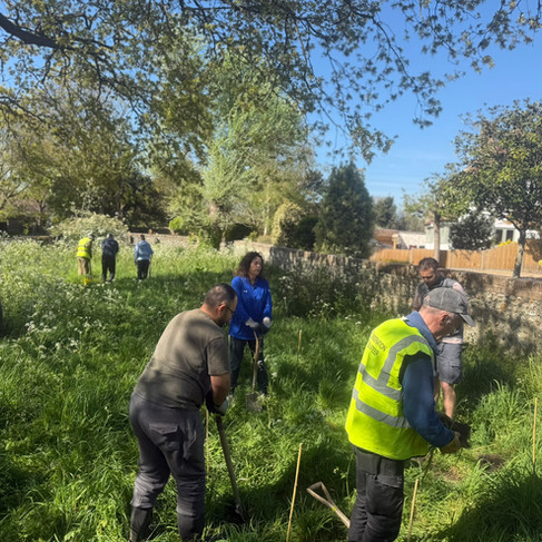 Wildflower seeding the bus stop area with WSP