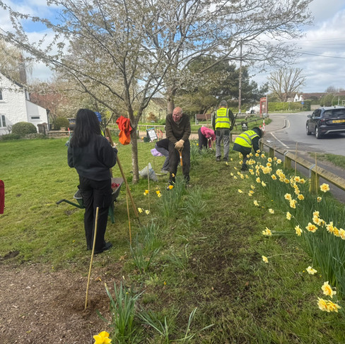 Wildflower seeding West Wittering Village Green