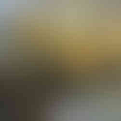 Willow blocking waterway at Hunston