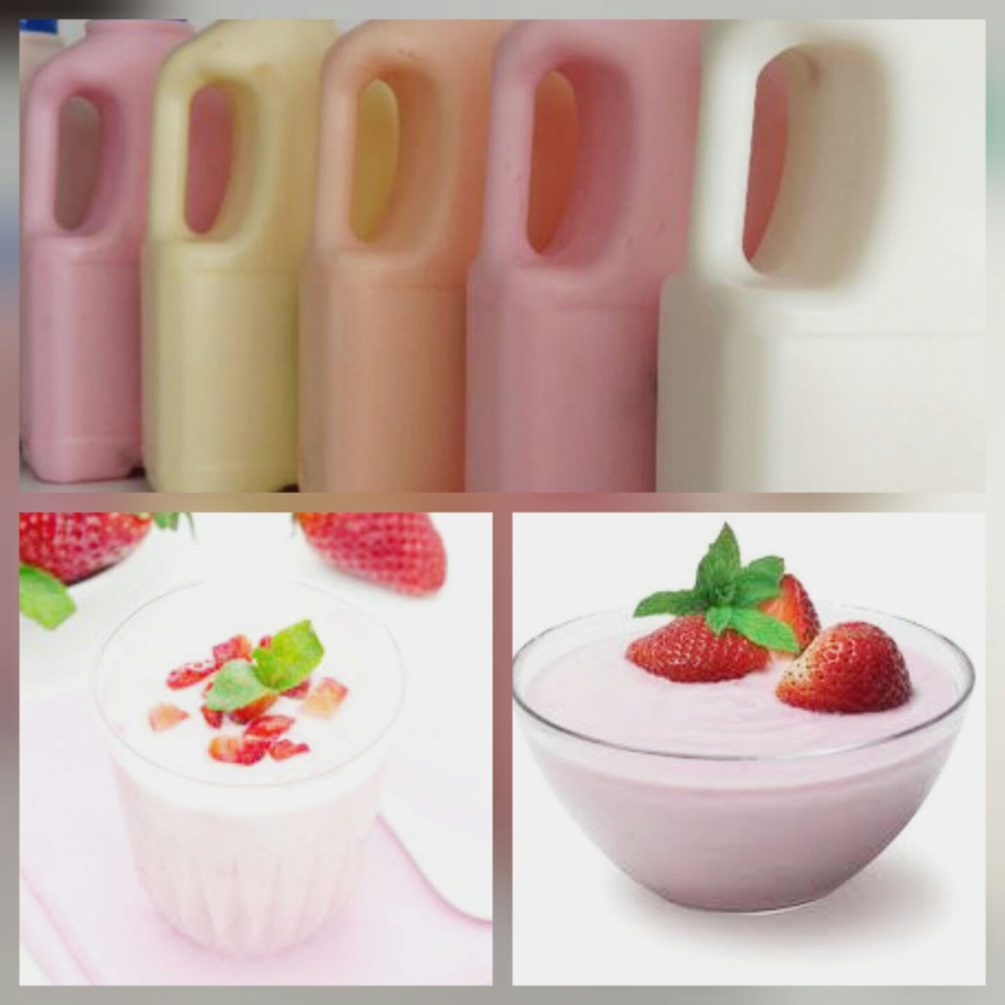 Yogurt y Postres Angélica