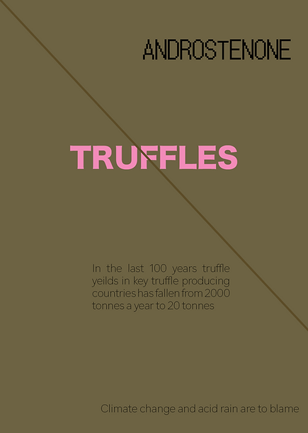 the disappearing things single pages website5.png
