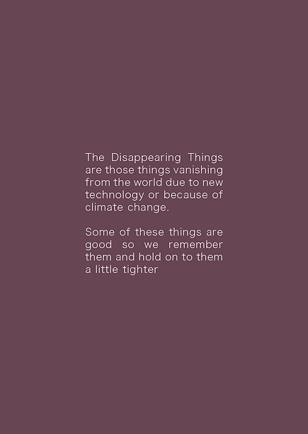 the disappearing things single pages website10.png