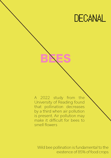 the disappearing things single pages website3.png