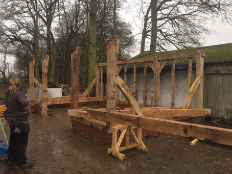Jowl posts and rear eaves plate in, and one very soggy- but very happy framer