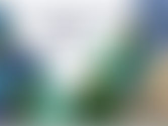 English language play: The Vagina Monologues