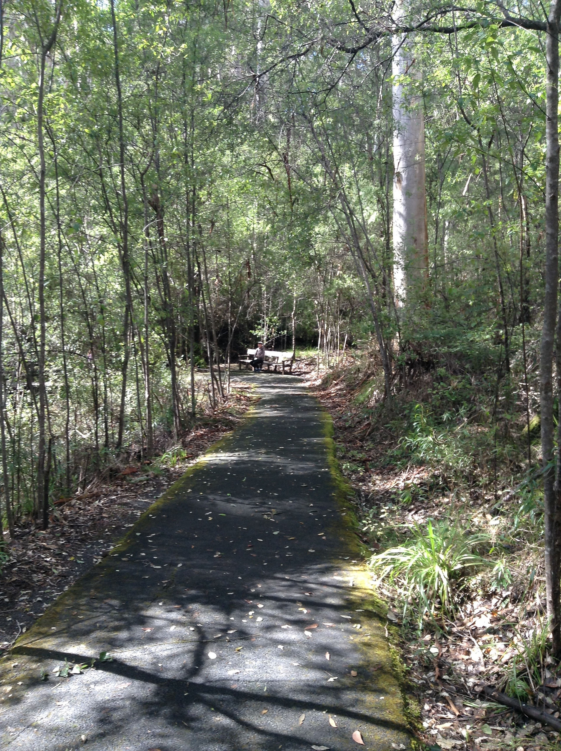 Beedelup- Adventure WA